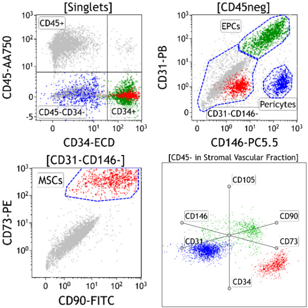 C34369_DURAClone SC Mesenchymal Tube, 25 Tests, RUO
